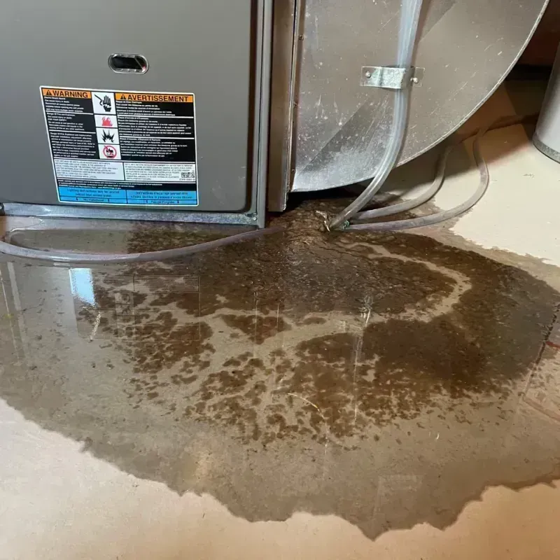 Appliance Leak Cleanup in Elgin, OR